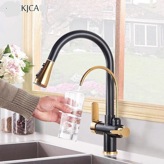 Black Gold Filter Faucet | Dual Spout Kitchen Faucet